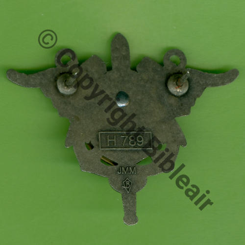 H789 SEA OPEX SFOR IFOR SALAMANDRE  JMM +Sigle BESSIN SALSON 2Attach PINS Dos lisse grenu leger Src.Y.GENTY 11Eur12.24 